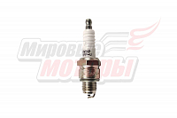  DENSO W16FP-U (4019)   ( NGK BP5HA,A14)