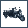 трициклы 250 см3 (птс)