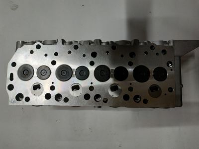 Головка блока В СБОРЕ с клапанами Hyundai Galloper, H100, Terracan 2.5TD D4BA, D4BB (HD49911) (артикул 49911)