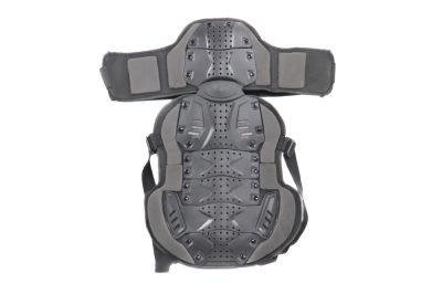защита спины pro-biker hx-p17 (для взрослых,безразмерная)