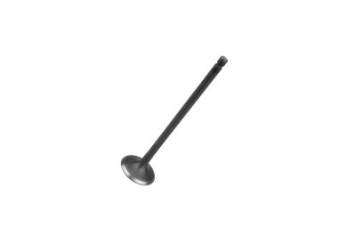Клапан впускной F3, F3-R, 4G18, 1.6L (1023783900) (артикул 40995)